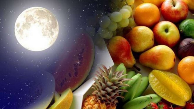 Различные типы питания. Влияние Луны на жизнь человека.