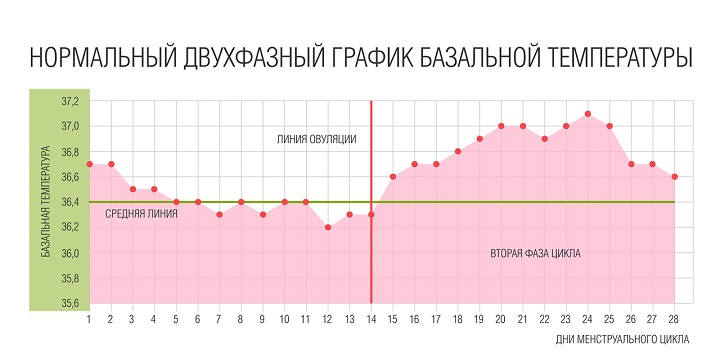 график базальной температуры график базальной температуры