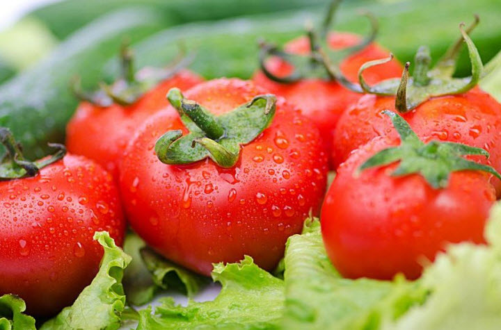 Огурцы и помидоры в теплице: возможно ли такое соседство?